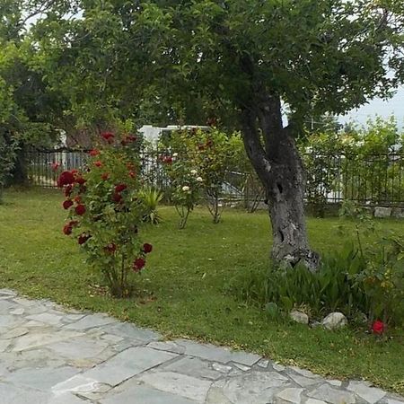 Katerina'S Holiday Home كريوبيجي المظهر الخارجي الصورة